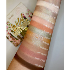 Bảng Phấn Mắt Colourpop Pressed Powder Palette 12 Màu