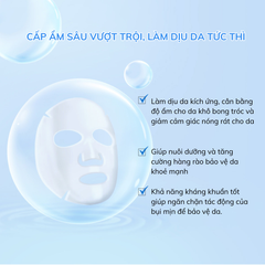 Mặt Nạ Cấp Ẩm Sâu Wonjin Healance Calming Relief Mask 30g
