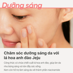 Kem Dưỡng Ẩm Sáng Da innisfree Cherry Blossom Glow Jelly Cream + B3 50ml