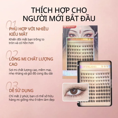 Lông Mi Giả Mắt Cáo Mlen Diary