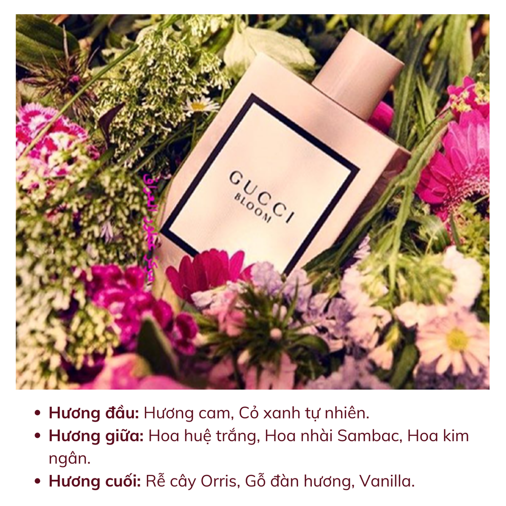 Set Nước Hoa Nữ Gucci Bloom (EDP 100ml + EDP 10ml + Body Lotion 100ml)