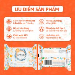 Khăn Ướt Vệ Sinh Vùng Kín Hằng Ngày Femfresh Intimate Skin Care Daily Wipes