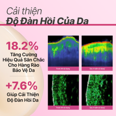 Bộ Sản Phẩm Chống Lão Hóa 3 Món innisfree (Kem Dưỡng Collagen 50ml + Serum Vitamin C 7ml + Kem Dưỡng Collagen 10ml)
