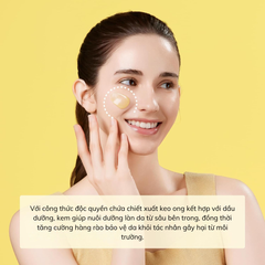 Kem Dưỡng Ẩm Chiết Xuất Keo Ong Dạng Dầu CNP Propolis Ampule Oil In Cream 50g