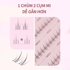 Lông Mi Giả Tách Sợi Mi Dưới Mlen Diary