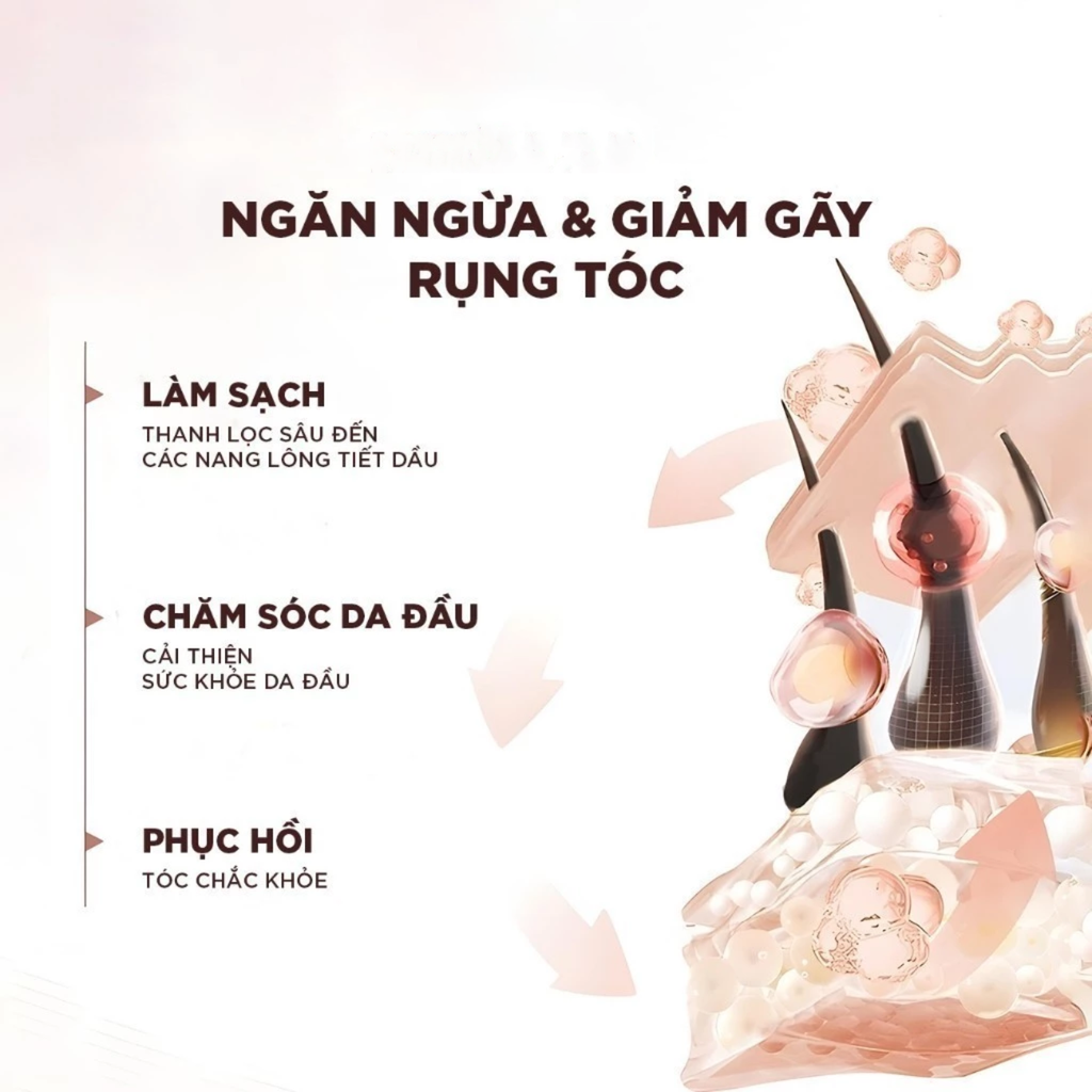 Dầu Xả Giảm Gãy Rụng Tóc Loreal Elseve Full Resist Anti Hair Fall Conditioner 440ml