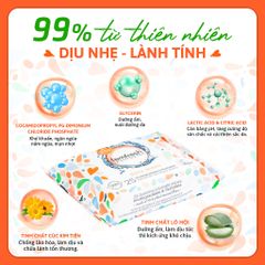 Khăn Ướt Vệ Sinh Vùng Kín Hằng Ngày Femfresh Intimate Skin Care Daily Wipes 25 Tờ