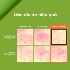 Sữa Rửa Mặt Chiết Xuất Đậu Xanh beplain Mung Bean PH-Balanced Cleansing Foam