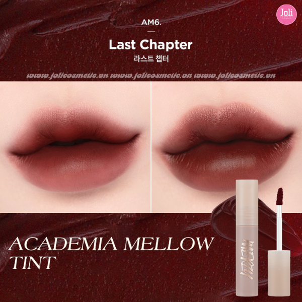 Son Kem Lì Merzy Academia Mellow Tint 4g