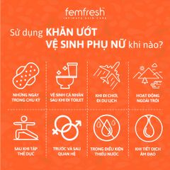 Khăn Ướt Vệ Sinh Vùng Kín Hằng Ngày Femfresh Intimate Skin Care Daily Wipes