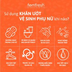 Khăn Ướt Vệ Sinh Vùng Kín Hằng Ngày Femfresh Intimate Skin Care Daily Wipes 25 Tờ