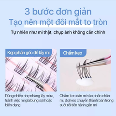 Lông Mi Giả Tách Sợi Hướng Dương Bản Trung Mlen Diary