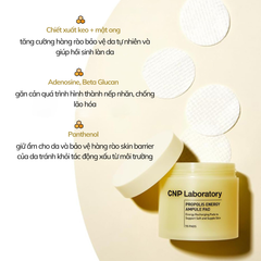 Miếng Bông Dưỡng Ẩm CNP Laboratory Propolis Energy Ampule Pad