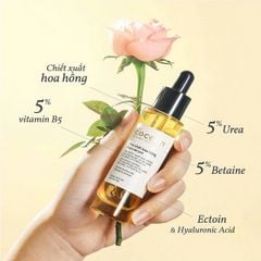 Tinh Chất Cấp Ẩm Phục Hồi Da Chiết Xuất Hoa Hồng Cocoon Rose Serum 30ml