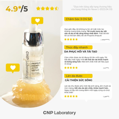 Tinh Chất Keo Ong Tái Tạo Phục Hồi Da CNP Laboratory Propolis Energy Active Ampule