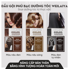 Dầu Gội Phủ Bạc Dưỡng Tóc Weilaiya Magic Color Comb 50ml+50ml
