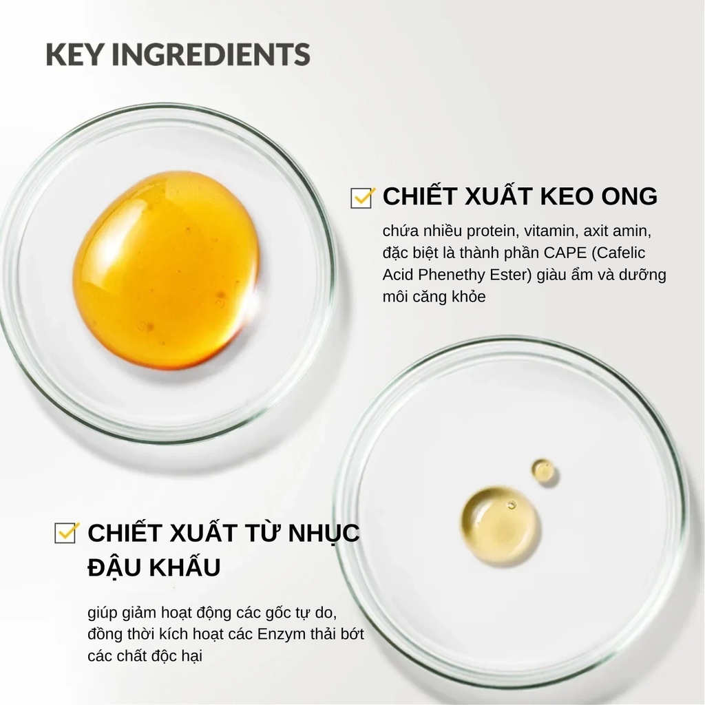 Son Dưỡng Môi CNP Laboratory Propolis Derma Moisture Lip Balm 4g