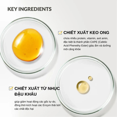 Son Dưỡng Môi CNP Laboratory Propolis Derma Moisture Lip Balm 4g