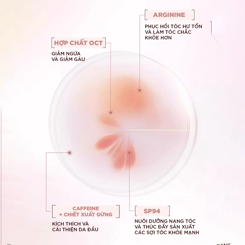 Dầu Gội Giảm Gãy Rụng Tóc Loreal Elseve Full Resist Anti Hair Fall Shampoo 440ml