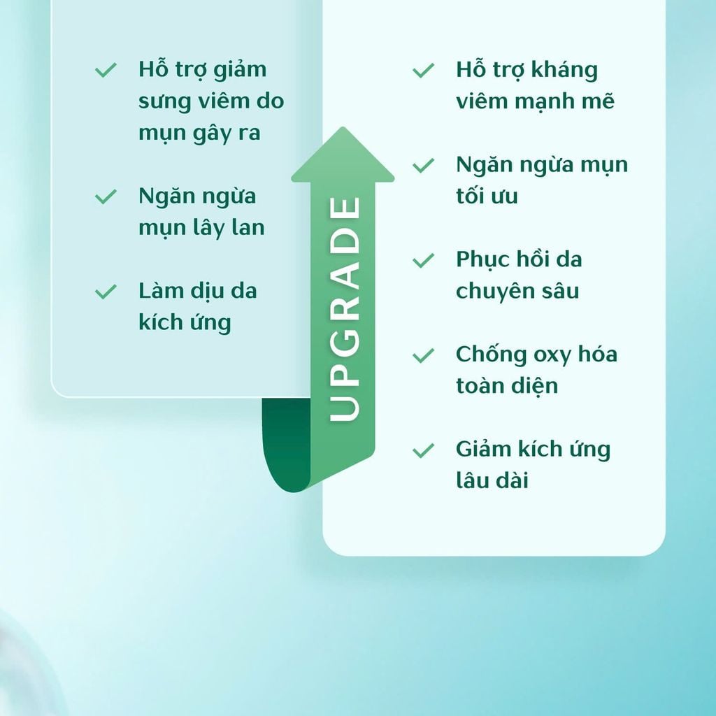 Tinh Chất Hỗ Trợ Giảm Mụn Thâm Mụn Caryophy Portulaca Ampoule 10ml