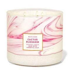 Nến Thơm Bath Body Works Aromatherapy Scented Candle 411g