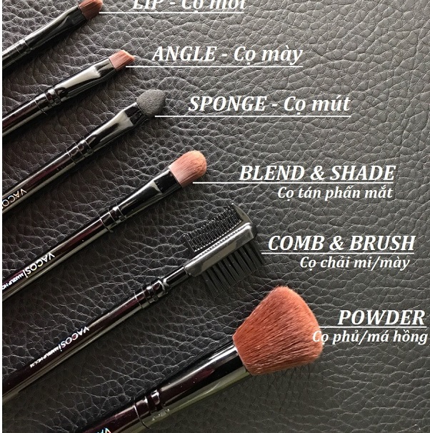 Hộp Cọ Du Lịch Vacosi My Darling 6 Cây BC23 My Darling Travel Brush SetHộp  Cọ Du Lịch Vacosi My Darling 6 Cây BC23 My Darling Travel Brush – JOLI  COSMETIC