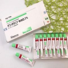 Kem Trị Sẹo Dạng Gel Gentacin Ointment 0.1% Nhật Bản 10g