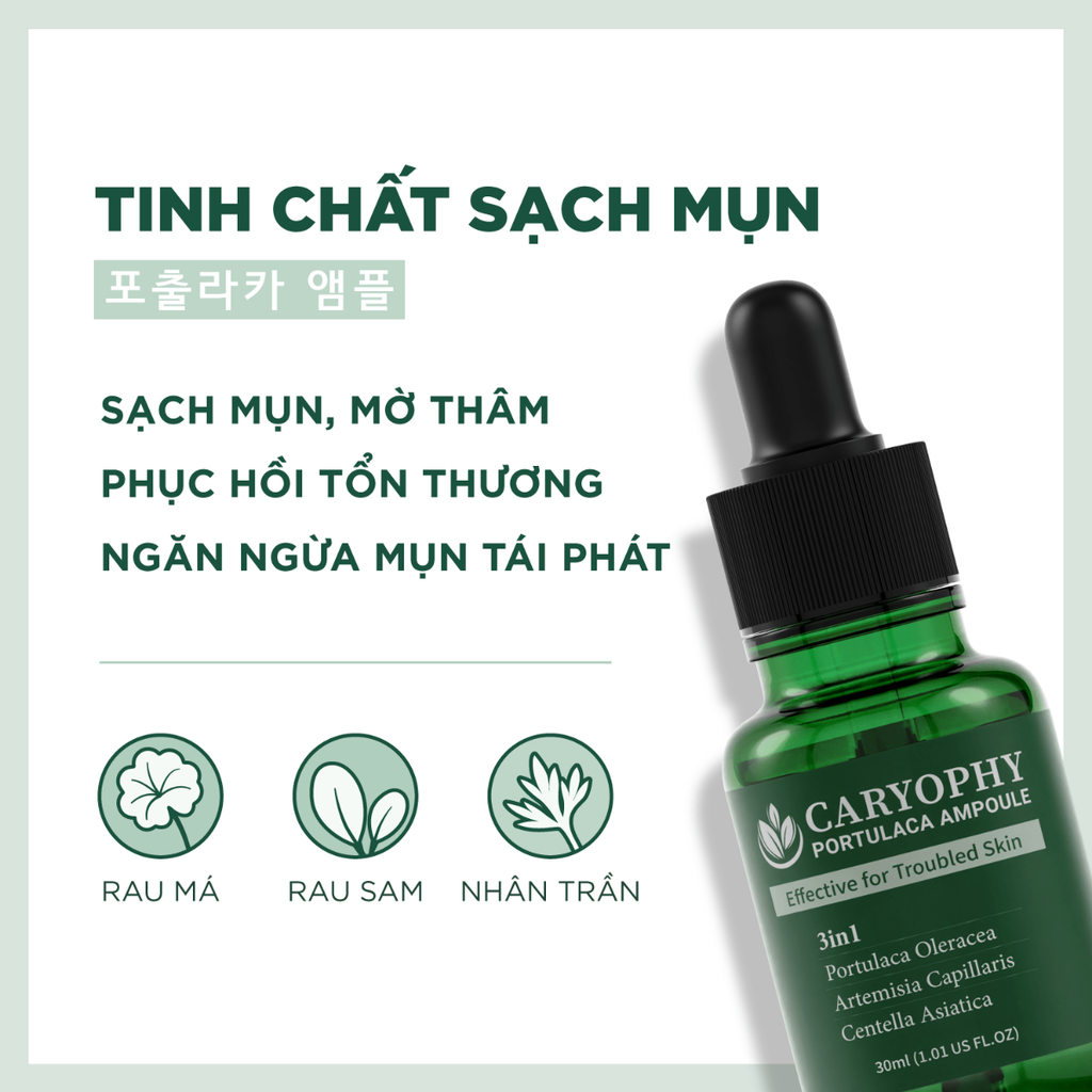Tinh Chất Hỗ Trợ Giảm Mụn Thâm Mụn Caryophy Portulaca Ampoule 30ml