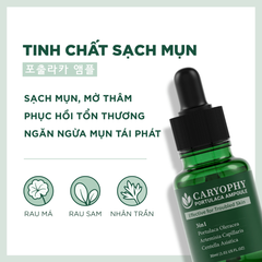 Tinh Chất Hỗ Trợ Giảm Mụn Thâm Mụn Caryophy Portulaca Ampoule 30ml