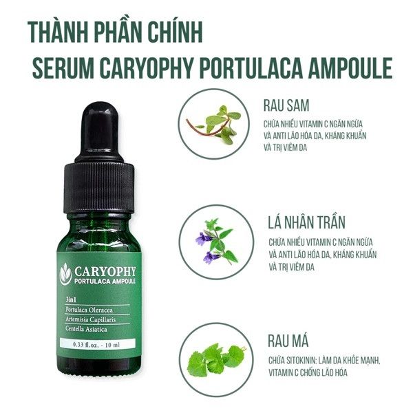 Tinh Chất Hỗ Trợ Giảm Mụn Thâm Mụn Caryophy Portulaca Ampoule 30ml
