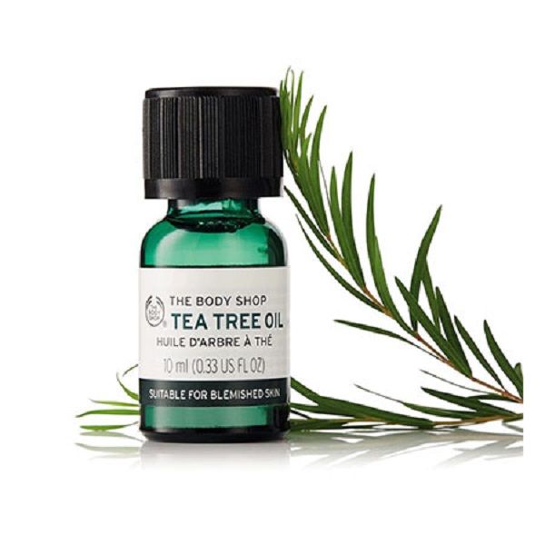 Tinh Dầu The Body Shop Tràm Trà Làm Giảm Mụn 10ml Tea Tree Oil