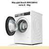 Máy giặt Bosch WAV28K43 serie 8
