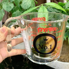 Ca đong Pyrex quốc dân dùng đong nước