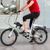 Xe đạp gấp gọn siêu cao cấp Probike nội địa Đức