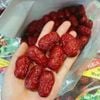 Táo đỏ sấy khô Hàn Quốc