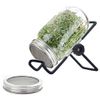 Bộ 2 lọ nảy mầm kèm giá đỡ Mason