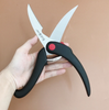 Kéo cắt gà Zwilling - Made in Germany
