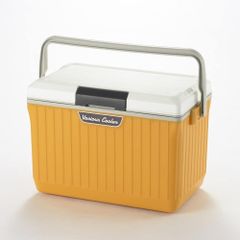 Hộp giữ lạnh Sanka Various Cooler 17L