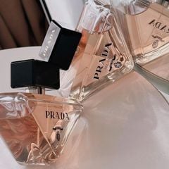 Nước hoa Prada Paradox