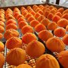Hồng tuyết lạnh Hàn Quốc