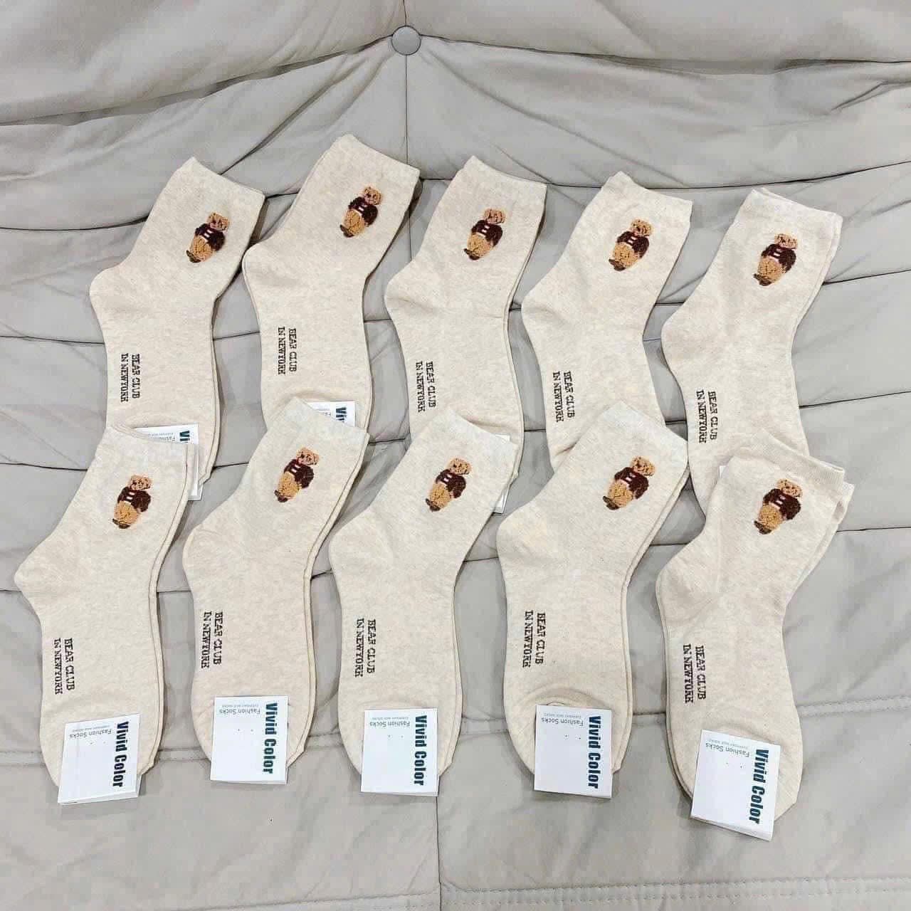 Tất gấu Hàn Quốc 10 đôi