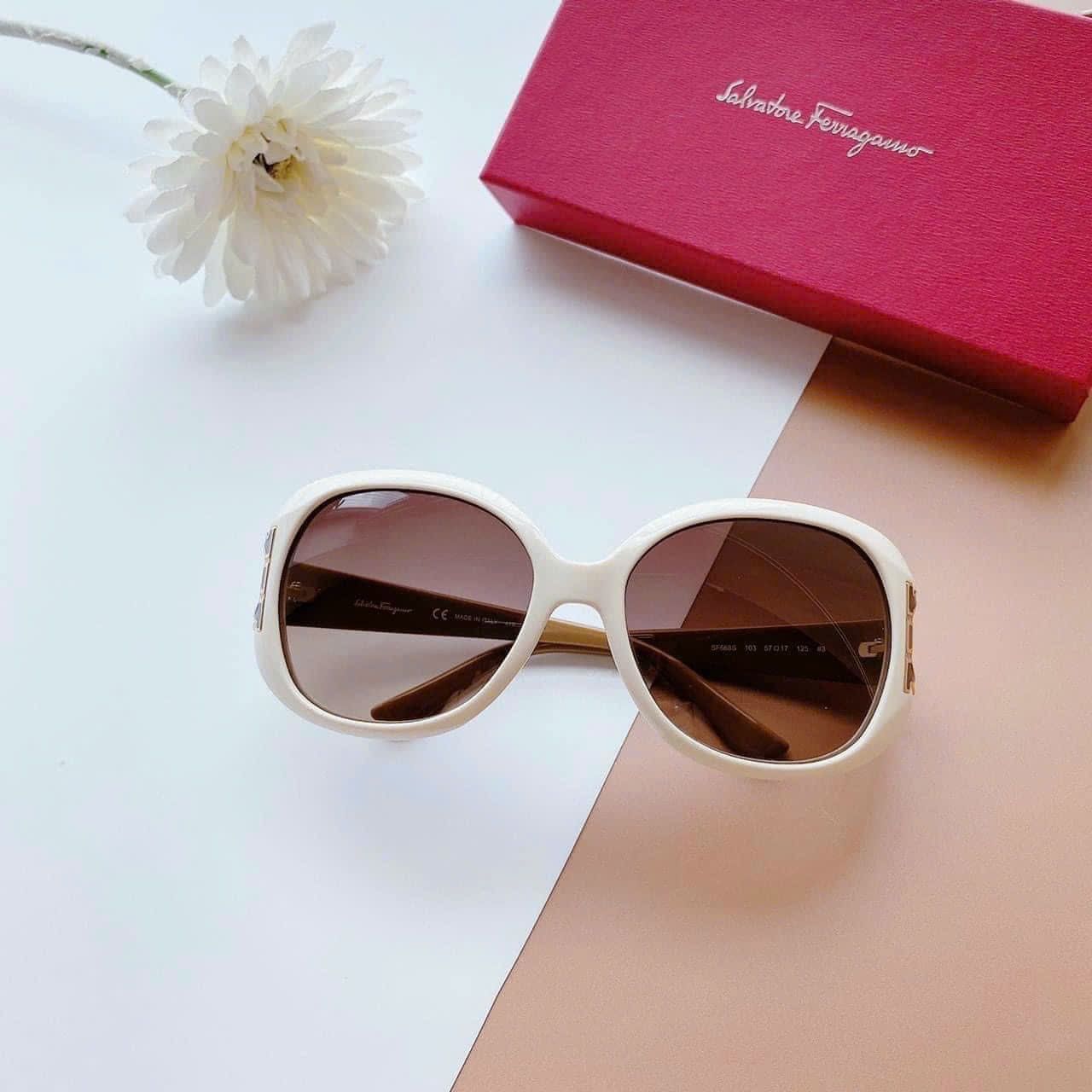 Kính thời trang Salatore Ferragami