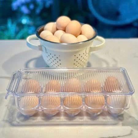 Hộp để trứng Ernesto nội địa Đức