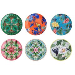 Bộ sưu tập đĩa tròn 20cm Wonderlust sứ xương viền vàng 22K