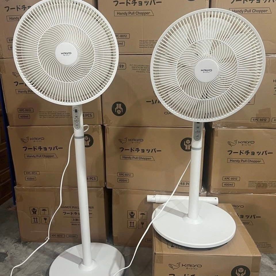 Quạt cây 7 cánh điều khiển từ xa Kaiyo Nhật