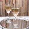 Bộ 12 ly vang cao cấp Spiegelau 4400192 Authentis Gläser-Set