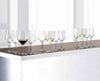 Bộ 12 ly vang cao cấp Spiegelau 4400192 Authentis Gläser-Set