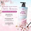 Sữa tắm nước hoa On The Body Hàn Quốc 900ml