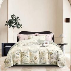 Bộ chăn ga gối Tencel 100s