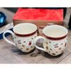 Bộ 2 cốc sứ Villeroy Boch Toy's Delight 340ml